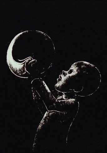 The Boy Who Stole the Moon