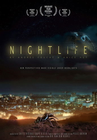 Nightlife - New Perspectives on City Wildlife