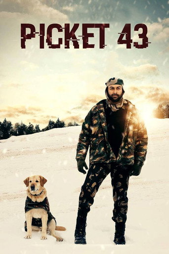 Picket 43 (2015)