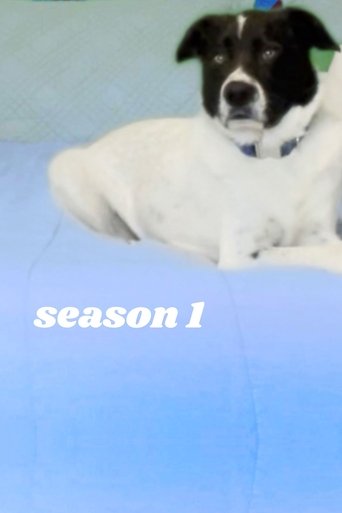 Sezon 1