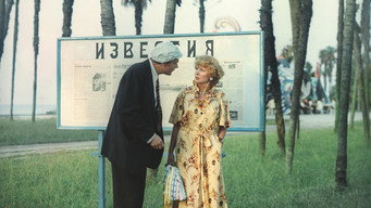 #8 Любов і голуби