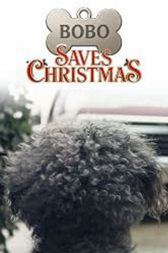 פוסטר של Bobo Saves Christmas