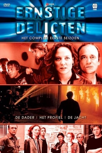 poster Ernstige Delicten