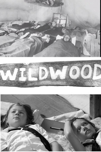 Cartell de Wildwood