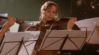The Indecent Woman (1991)