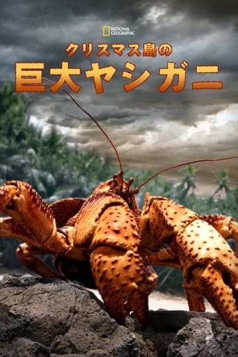 The Giant Robber Crab