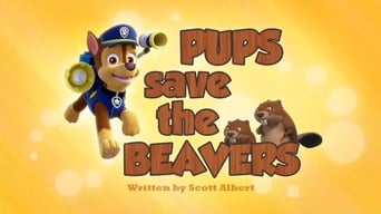 Pups Save the Beavers