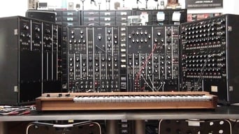 Moog (2004)