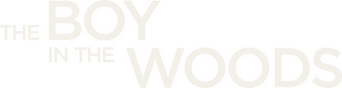 The Boy in the Woods logo