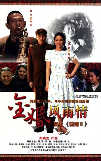 Poster of 金婚·风雨情