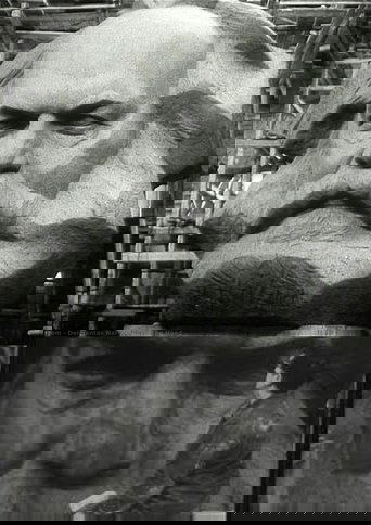 The Head