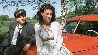 Pesärikko (2000)
