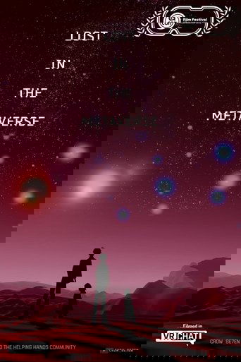Lost In The Metaverse poster