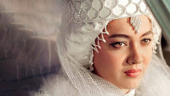 The Bride (1991)