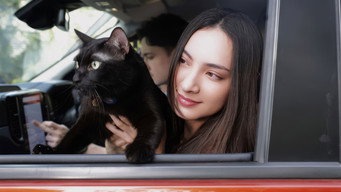 Escena 1 de Devil Black Cat