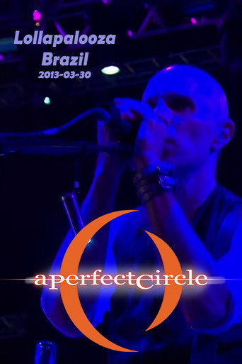 A Perfect Circle: Live at Lollapalooza, Brazil (2013)