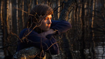 Once Upon a Time in a Forest (2024)