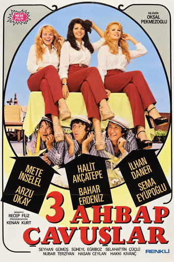 Affiche de Üç Ahbap Çavuşlar