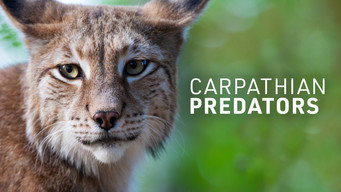 Carpathian Predators (2020-2019)