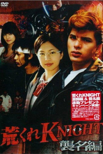 Wild Knight: Succession Arc (2007)