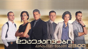 Detectives (2010-2011)
