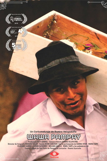 Cartell de Wawa Pampay