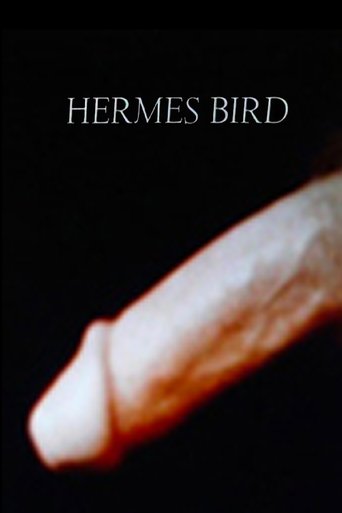 Poster of Hermes Bird