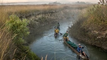 #13 Into The Okavango