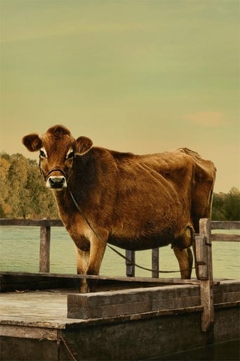 Image of Eve the Cow