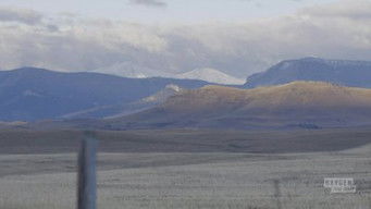 第6話：Joe Campbell