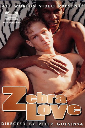 Zebra Love — Pôsteres 2