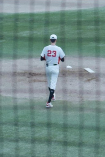 No.23 (2024)