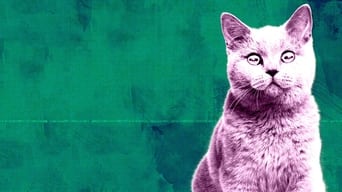 Off the Air - S11E01