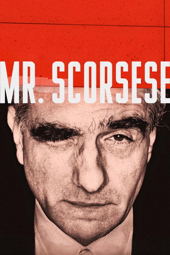 Mr. Scorsese