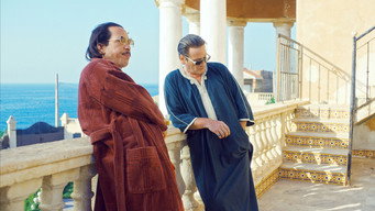 #5 The King of Algiers