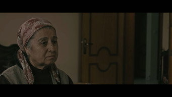 Verge (2016)