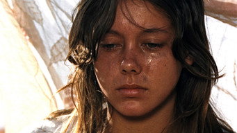 #35 Walkabout
