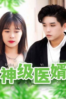 神级医婿 poster