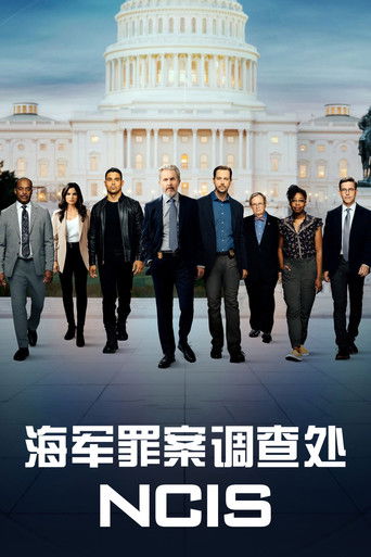 海军罪案调查处 (2003)