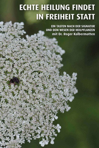 Echte Heilung findet in Freiheit statt