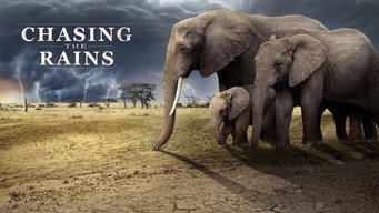 #11 Chasing the Rains