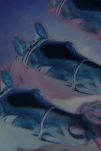 Drowning Horses