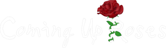 Coming Up Roses
