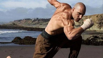 Galeria 2 - El puño del cóndor