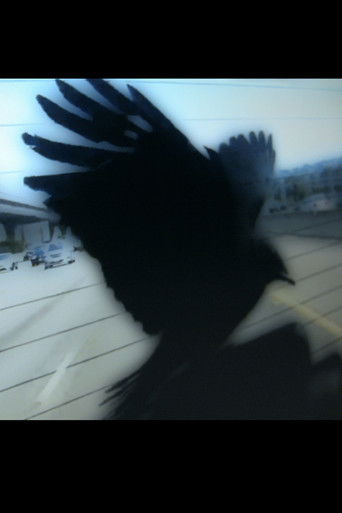 Drive with Persephone poster