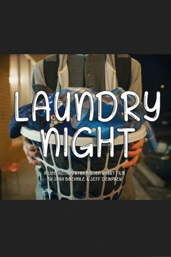 Laundry Night poster