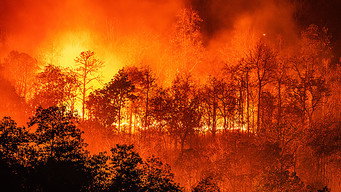 On Fire (2023)