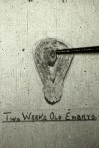 The Creation Of Life (1948)