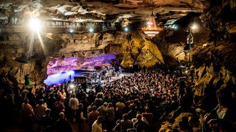 #4 Bluegrass Underground