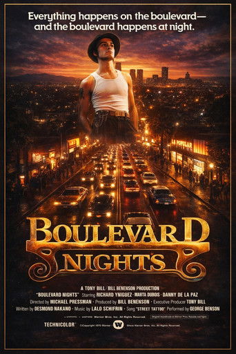 Boulevard Nights poster 4